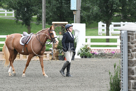 HSM_1551