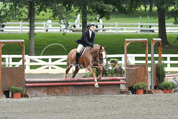 HSM_1819