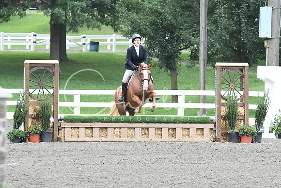 HSM_1822