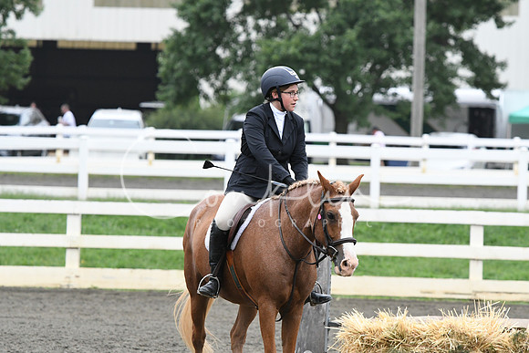 HSM_1826