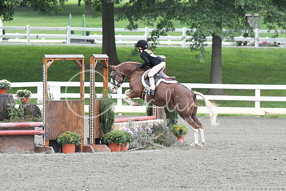 HSM_1613