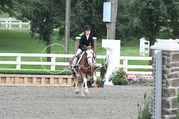 HSM_1617