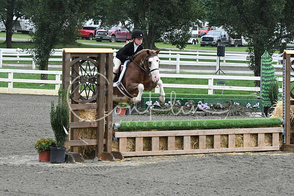 HSM_1618