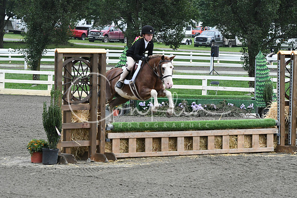 HSM_1619