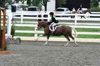 HSM_1622