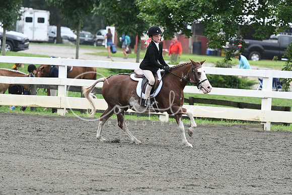 HSM_1627