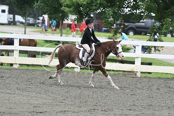 HSM_1628