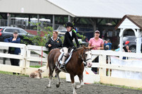 HSM_1629