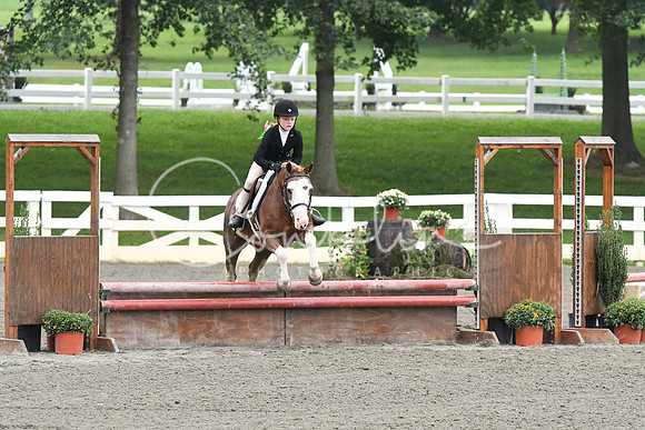HSM_1696
