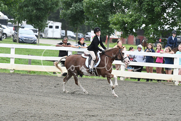 HSM_1698