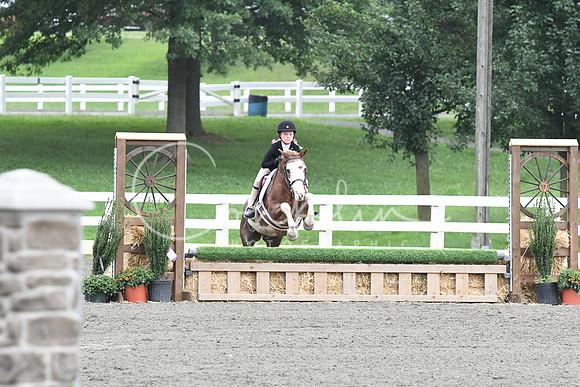 HSM_1702