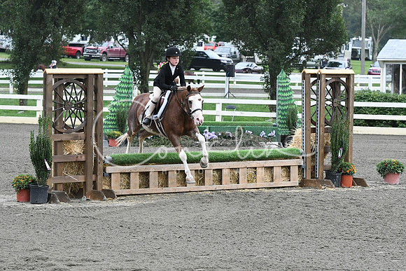 HSM_1704