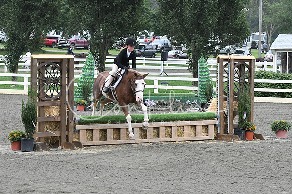 HSM_1767