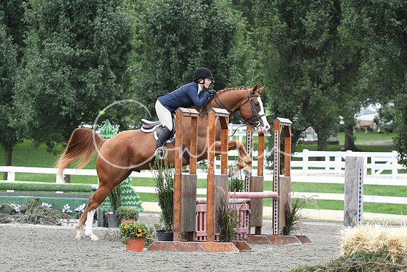 HSM_3134