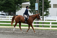 HSM_3138
