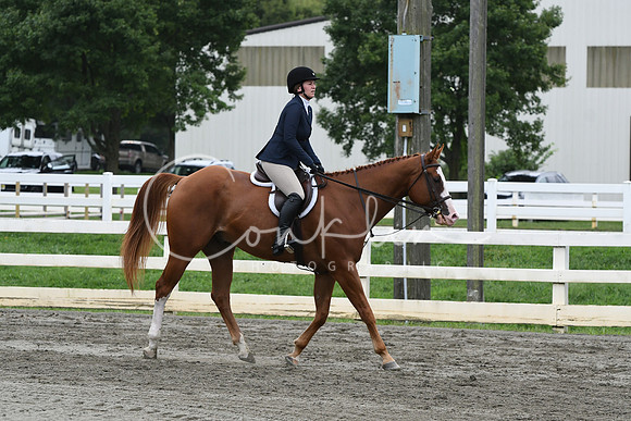 HSM_3138