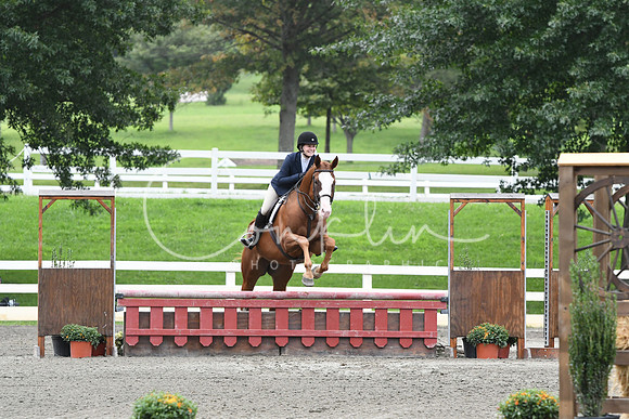 HSM_3194