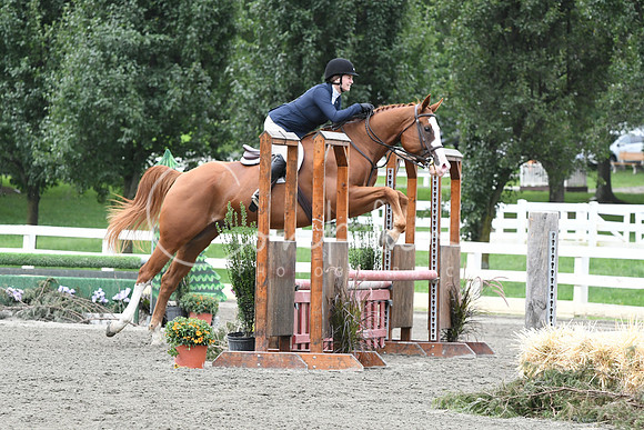 HSM_3196