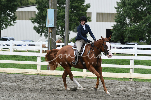 HSM_3197