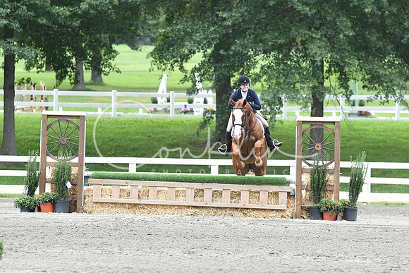 HSM_3201