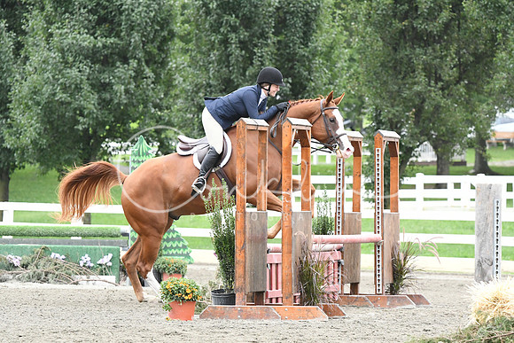 HSM_3263