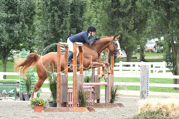 HSM_3264