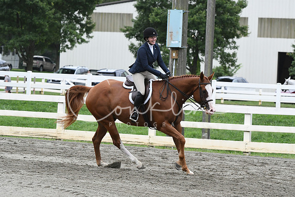 HSM_3266