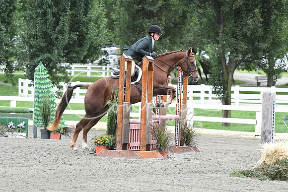 HSM_4772