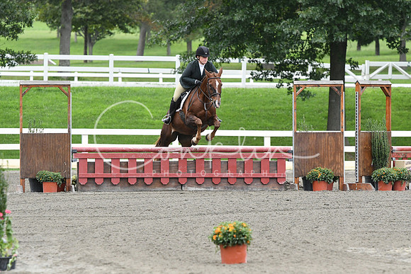 HSM_4837
