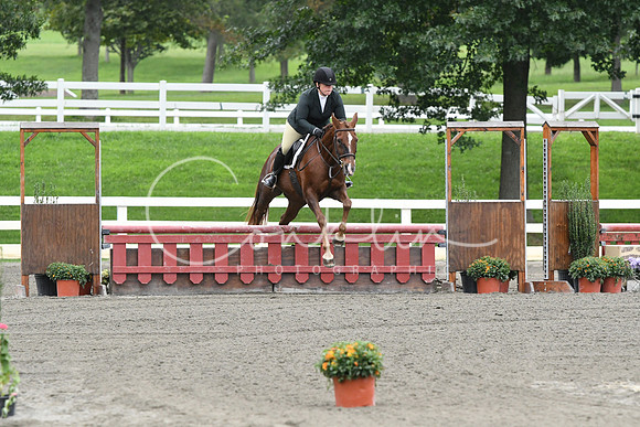 HSM_4838