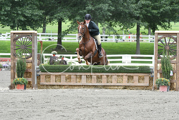 HSM_4841