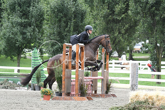 HSM_3225
