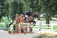 HSM_3226