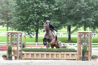 HSM_3231