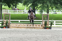 HSM_3278
