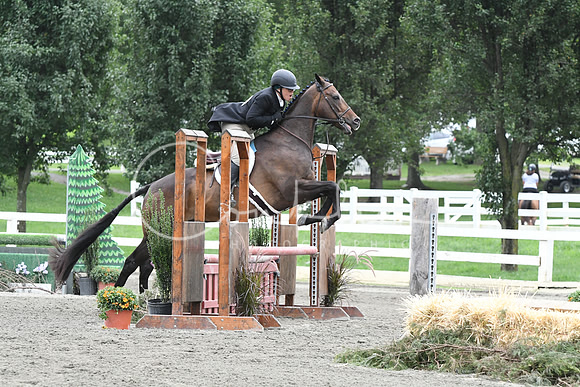 HSM_3286