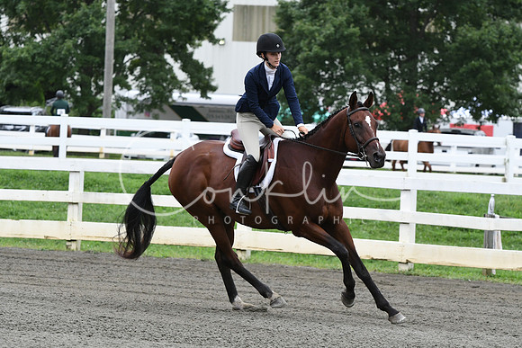 HSM_3897