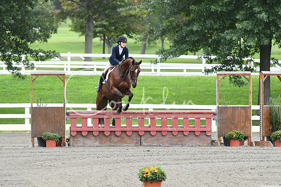 HSM_3928