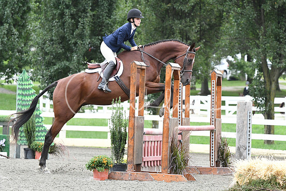 HSM_3931