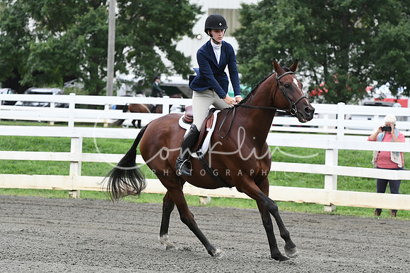 HSM_3934