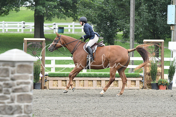 HSM_2348