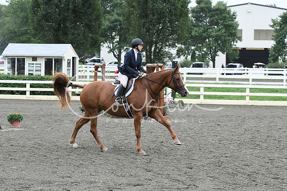 HSM_2356