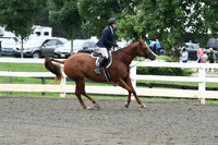 HSM_2362