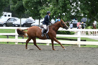 HSM_2363