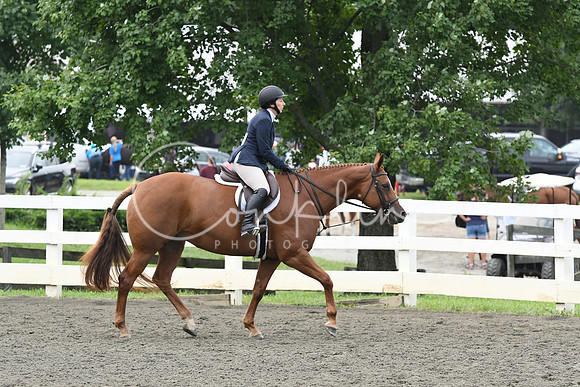 HSM_2373