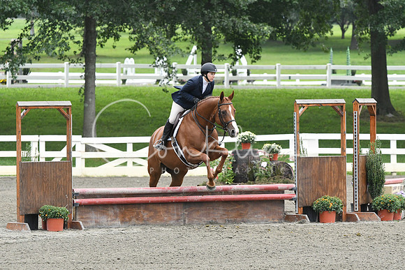 HSM_2395