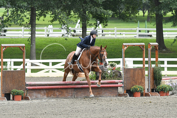 HSM_2396