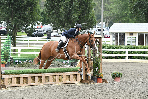 HSM_2449