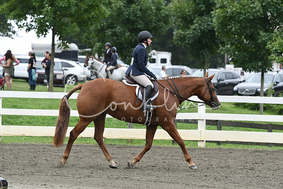 HSM_2453