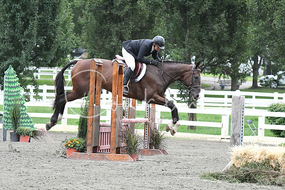 HSM_5046